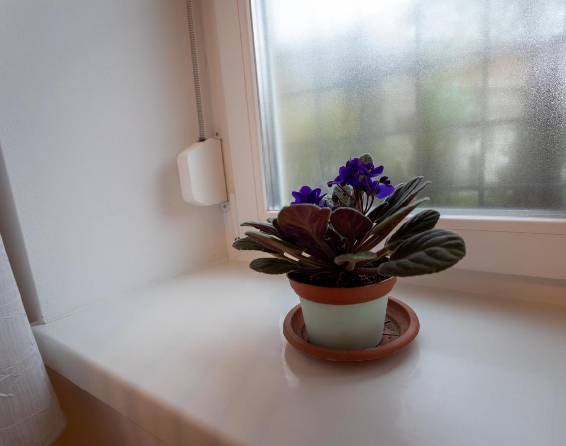 Sunbird Apartman Budapeşte Dış mekan fotoğraf
